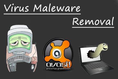 Computer Services, Virus and Maleware Removal